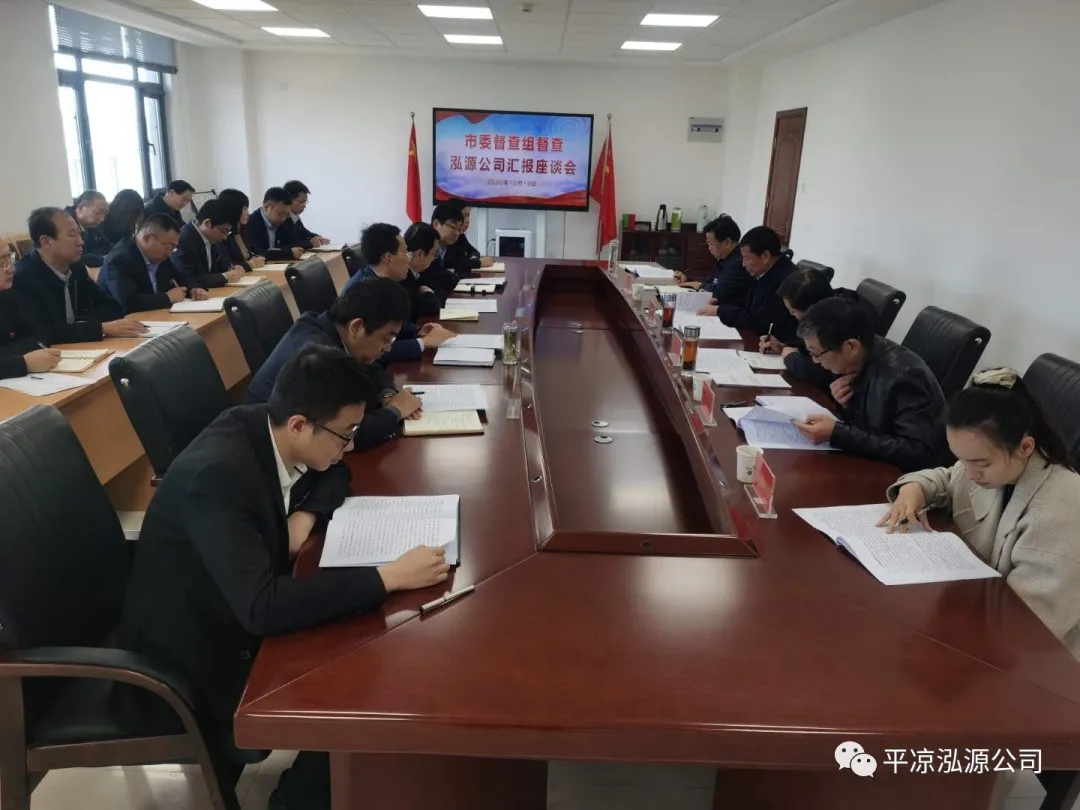 市委辦公室、市政府國資委督查泓源公司工作(圖4)